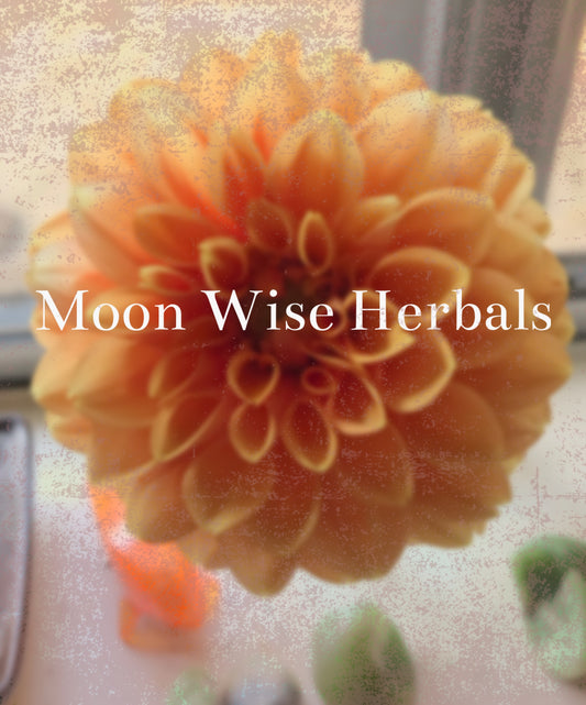 Moon Wise Herbals 