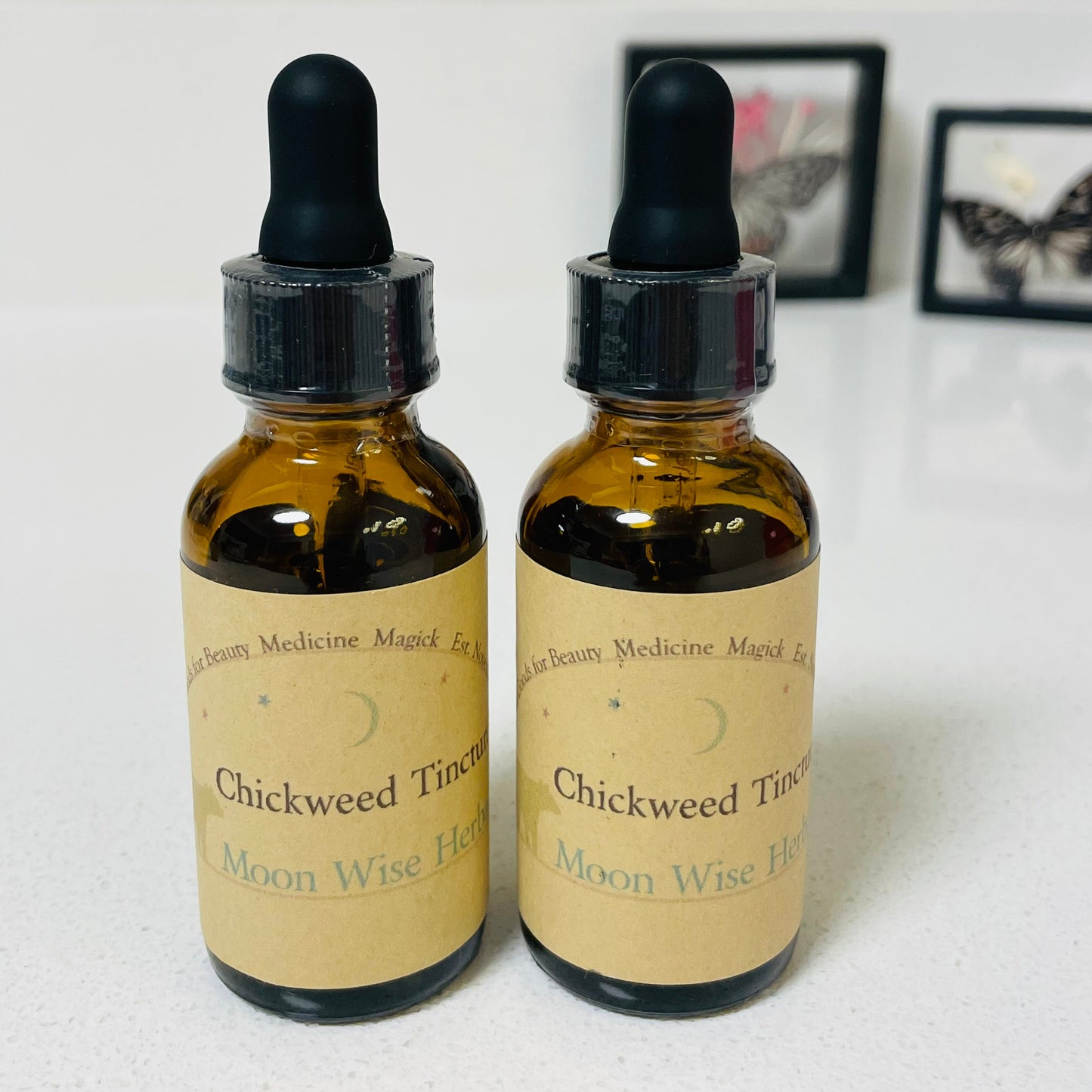 Chickweed Tincture